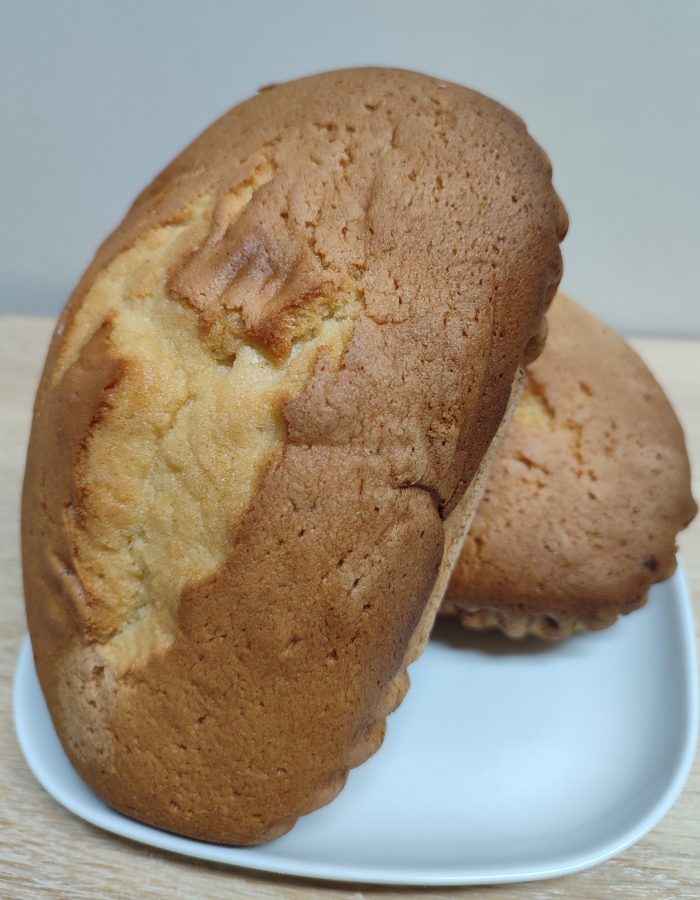 Rebojos de Zamora Rebojos artesanos de Zamora 2